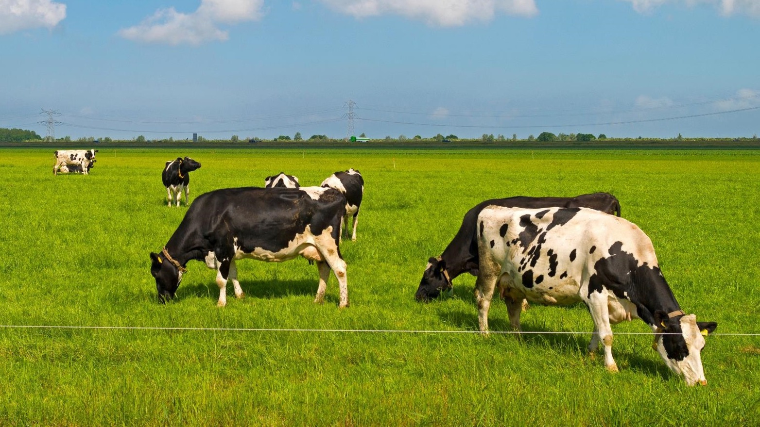 47957033_xl_cropped_169_compressed_2