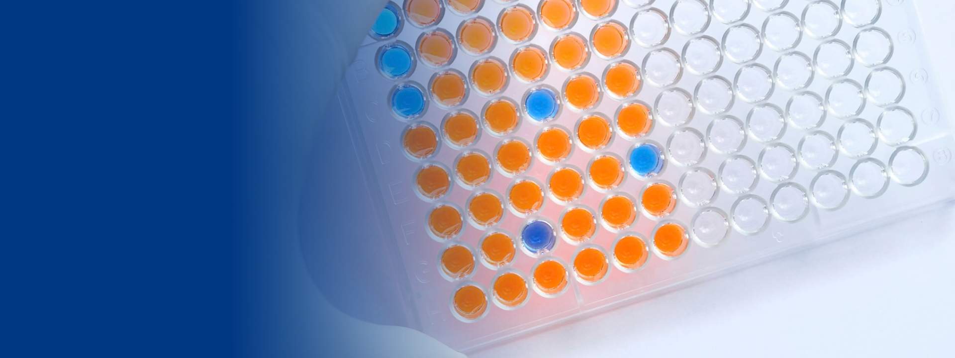 mtt-test-website-banners