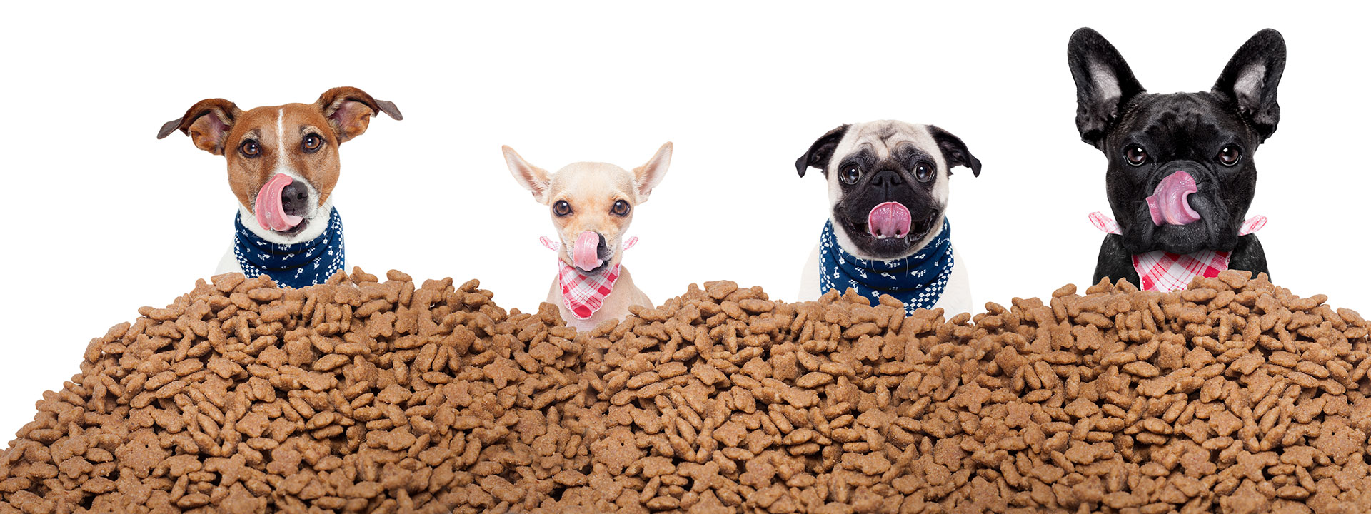 petfood_banner_1920x720px
