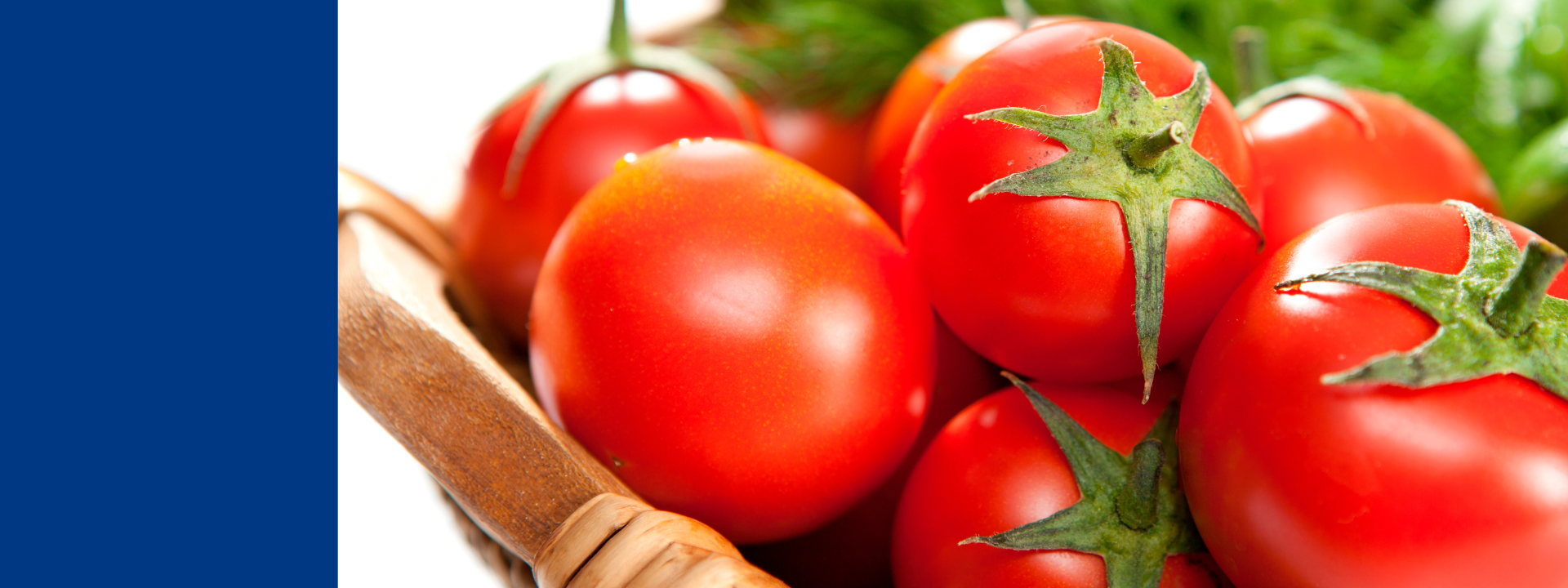 2-banner-food-and-feed