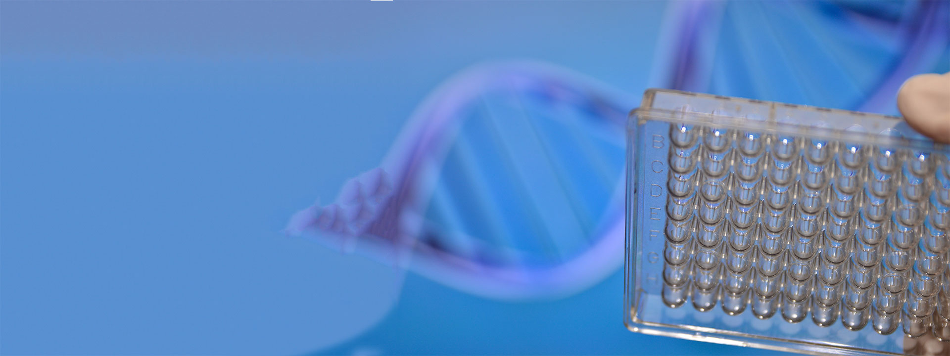 authenticity_molecular-biology_1920x720px