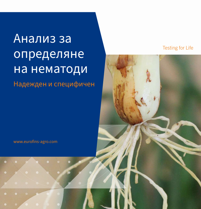 nematode_testing