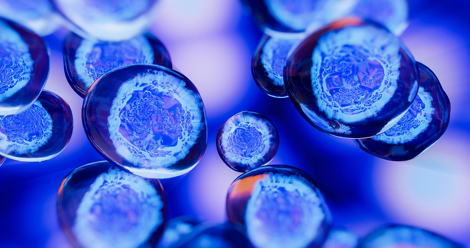 cell-therapy