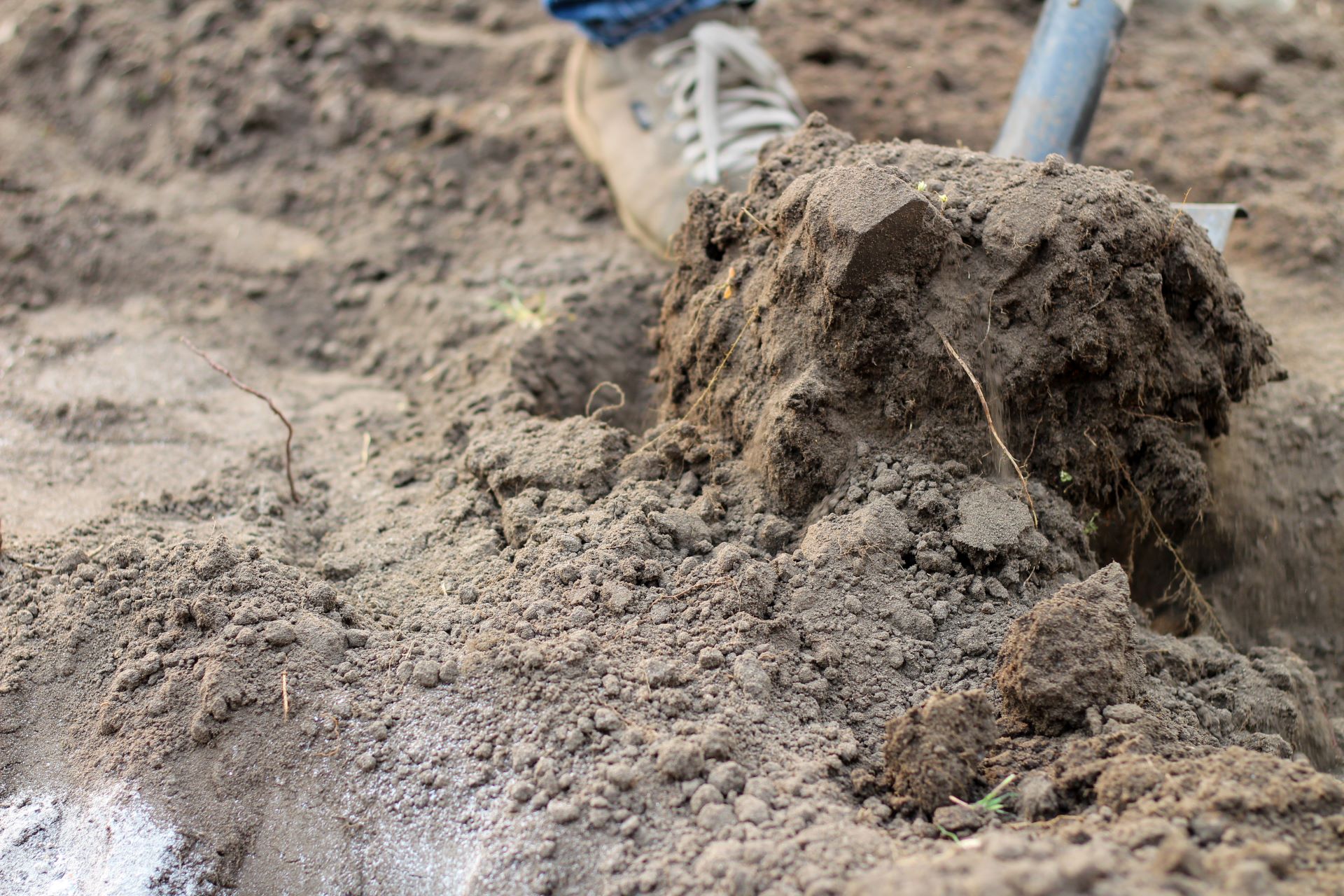 preparing-a-garden-for-spring-planting-vegetables_7776-x-5184-px_2