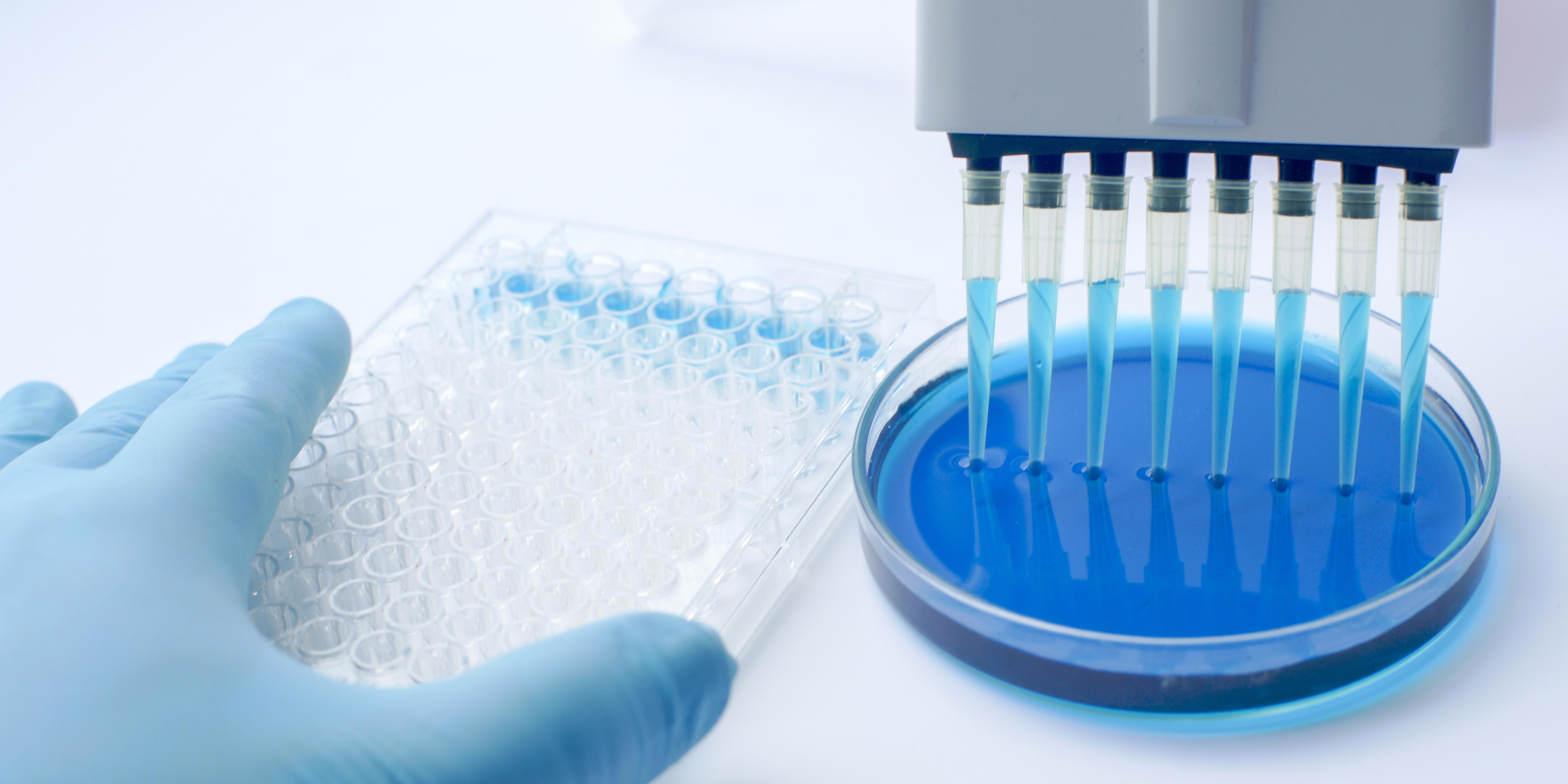 A gloved hand holds a 96-well microplate next to a petri dish filled with blue liquid. Above the petri dish, a multi-channel pipette dispenses blue liquid into the wells of the microplate. The image depicts a laboratory setting, highlighting scientific research or experimentation involving precise liquid handling and sample preparation.