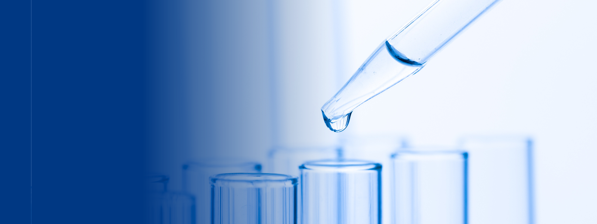 human-cell-line-activation-test-website-banners
