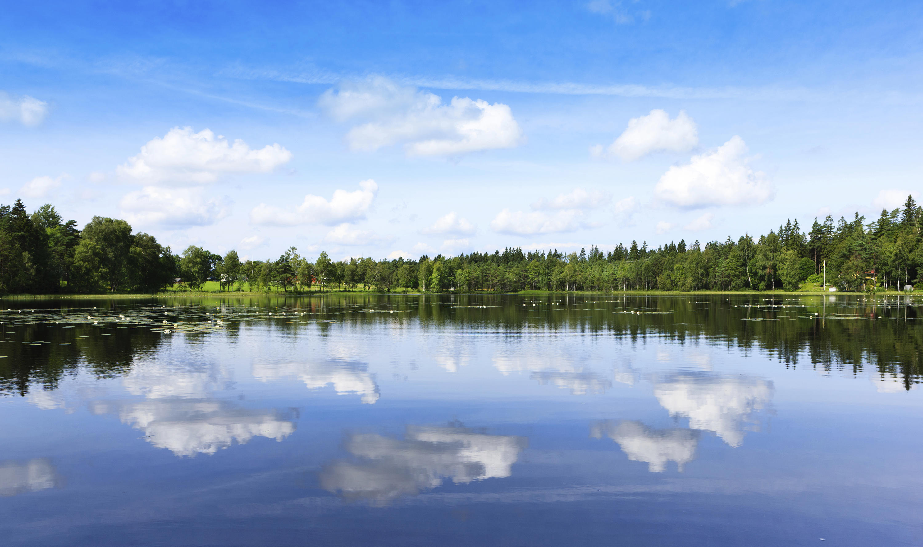 swedish-lake-in-summer_5616x3328px