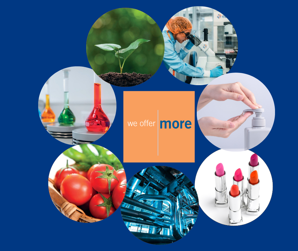 we-offer-more-blue