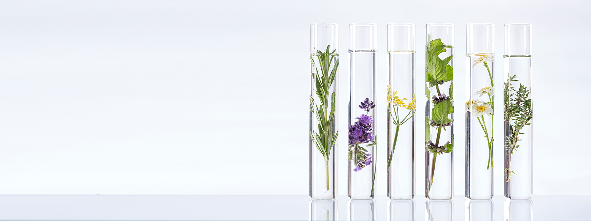 residual-solvents_banner_1920x720px