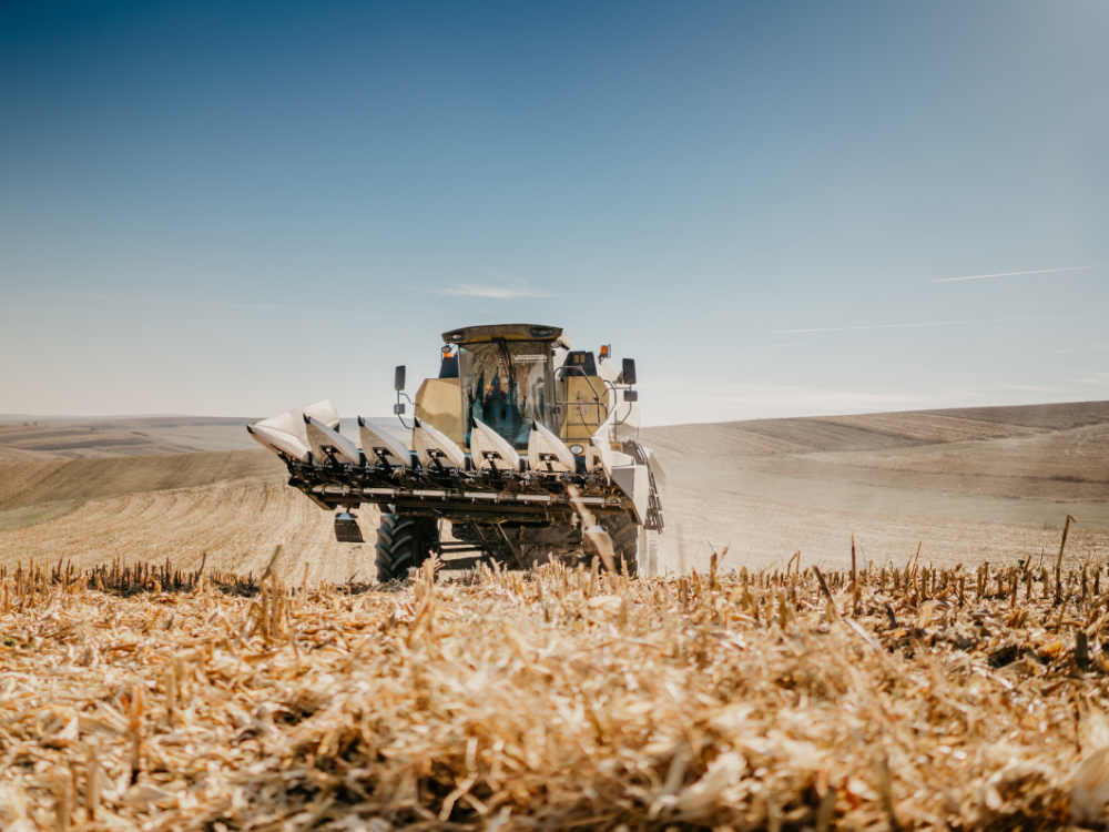 landwirtschaft-2