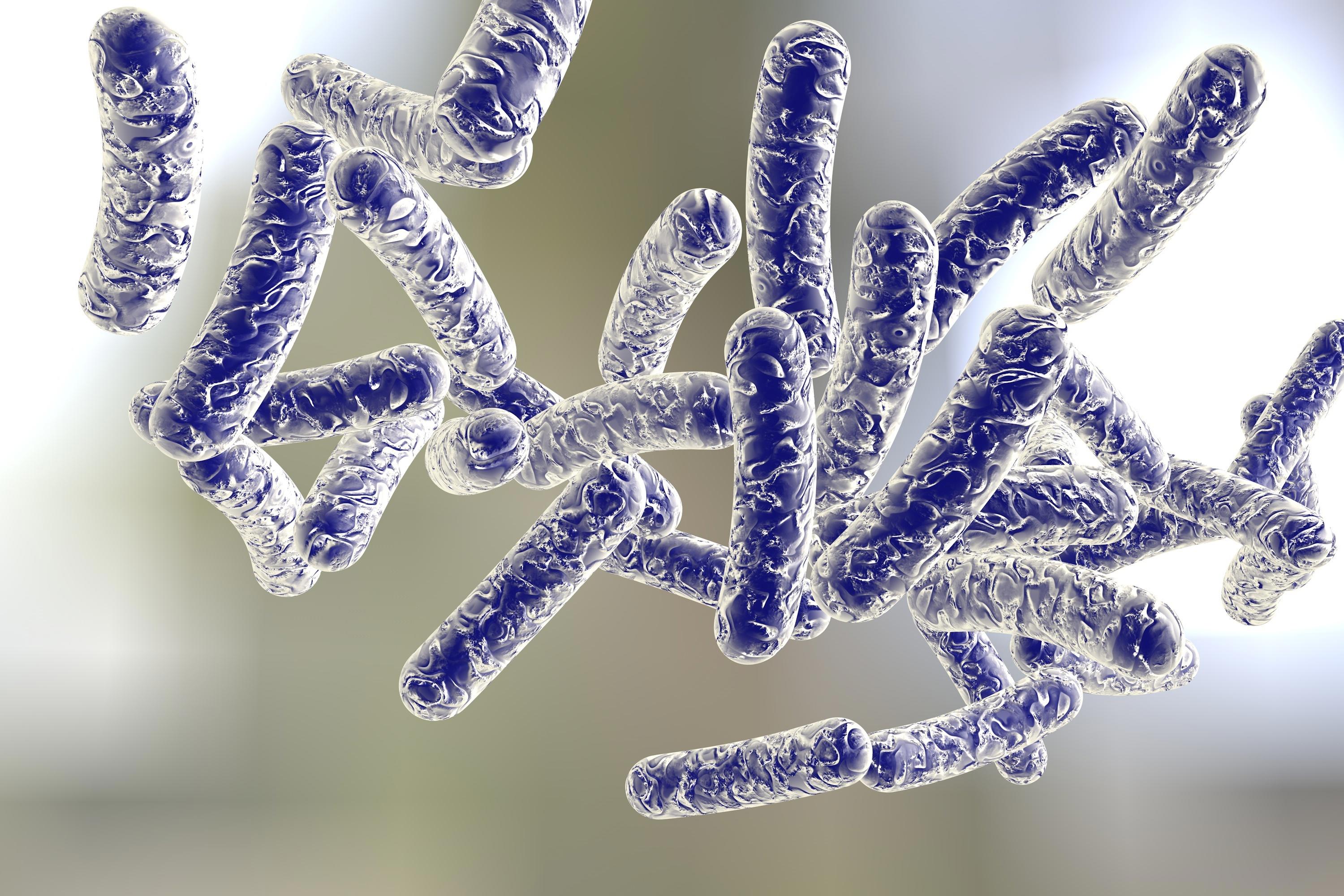 legionella-pneumophia_292349774