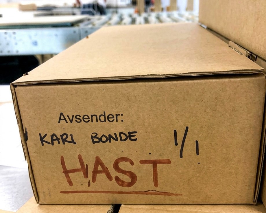 hast (1)