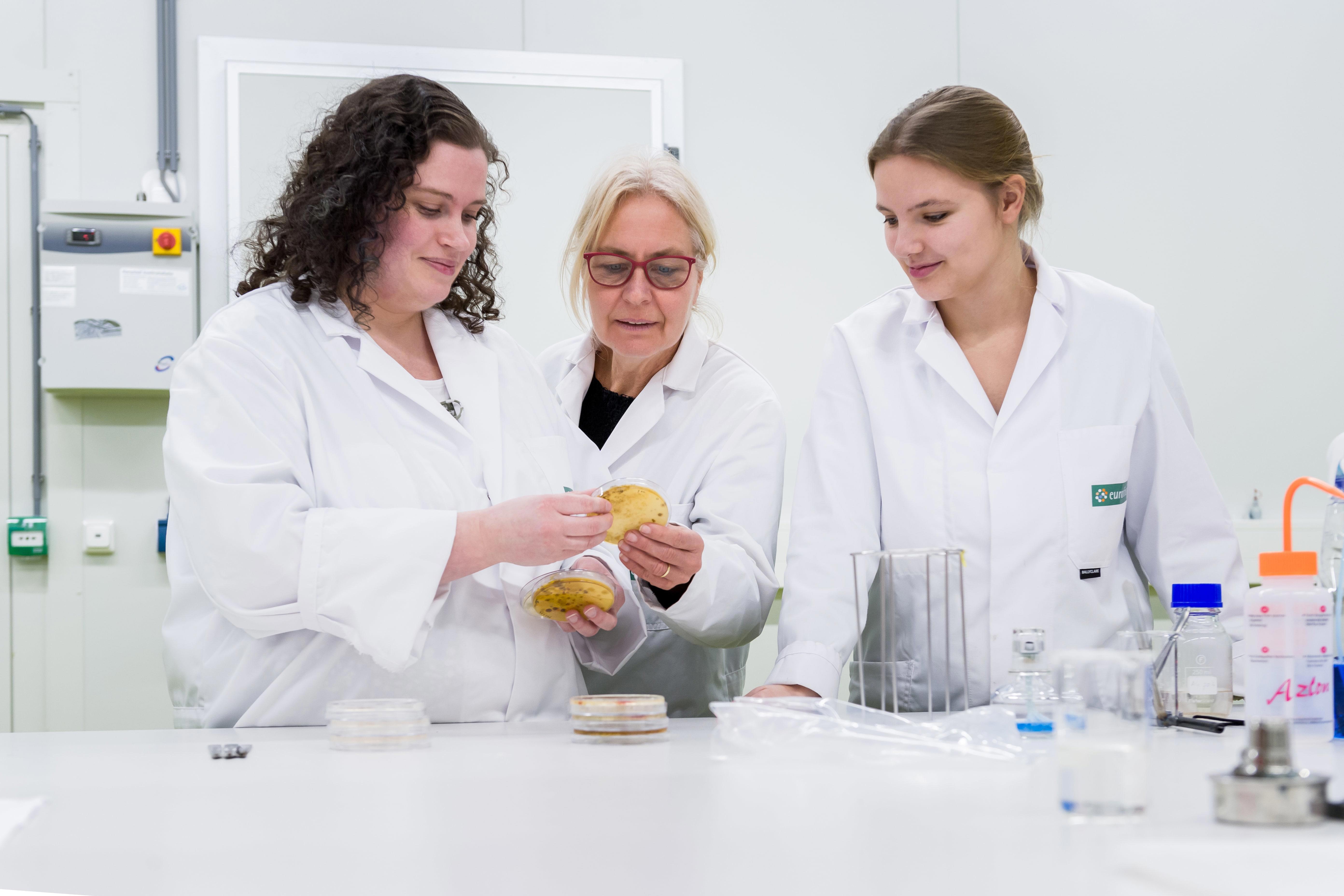 agro-lab-plantdocters-3-petridish