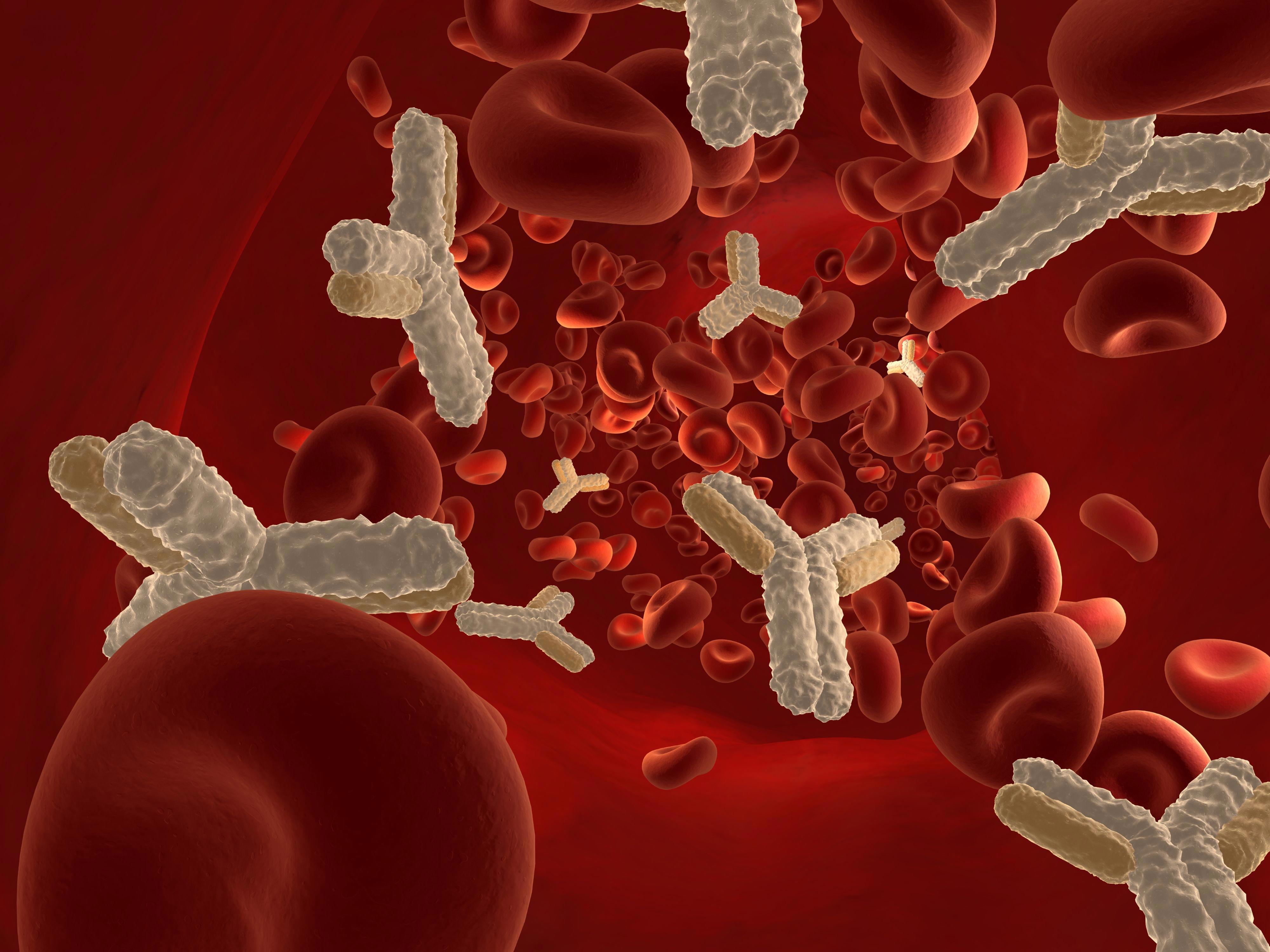 antibodies_4000x3000px