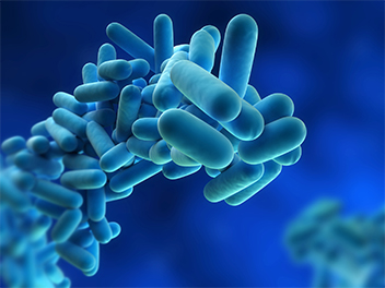 legionella