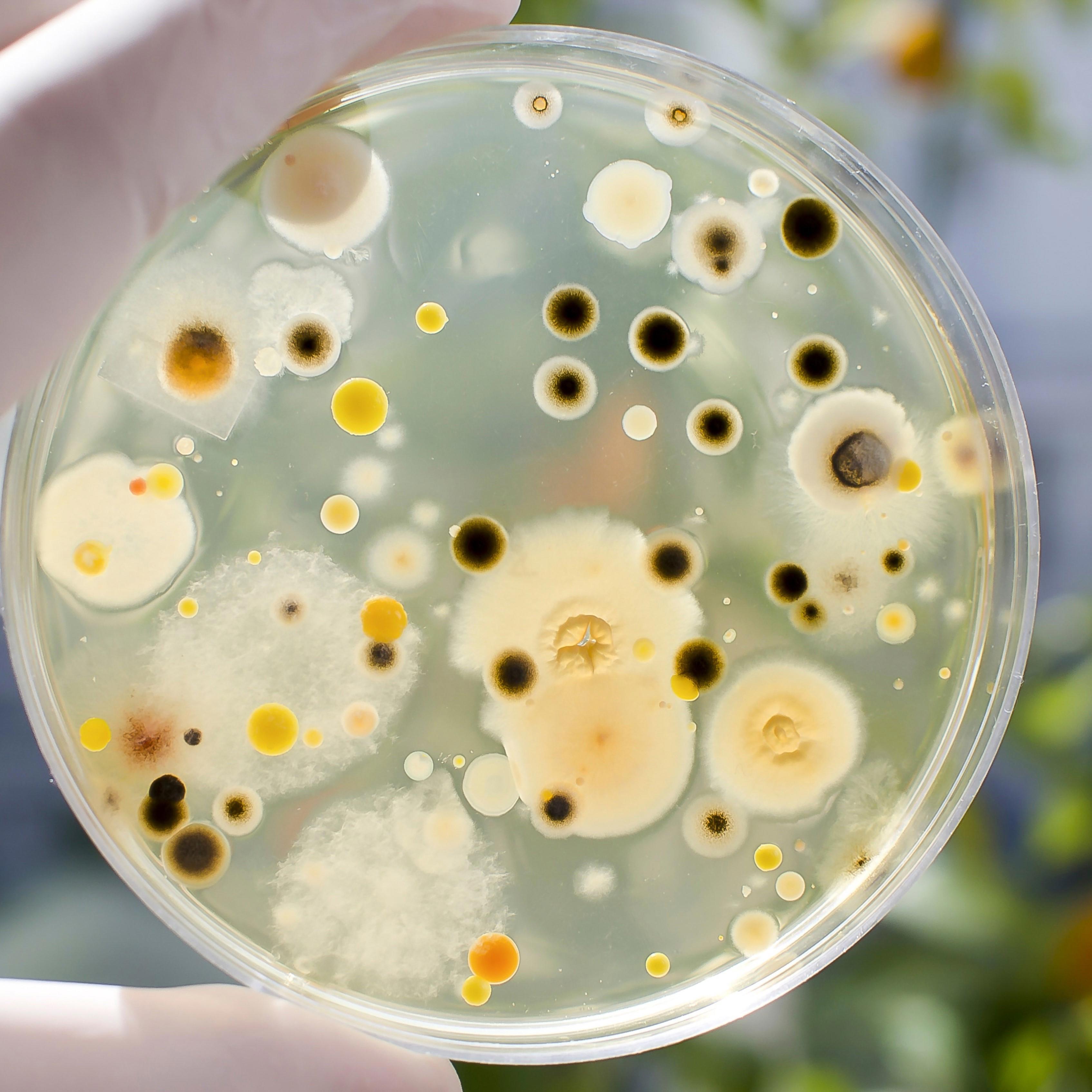 biotechnology-concept