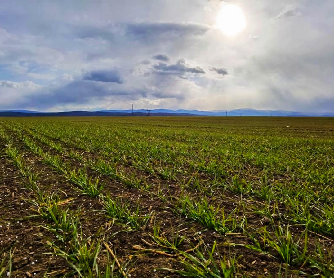 agrobalance-fertilization-recomendation