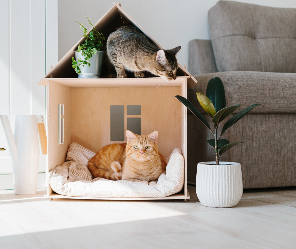 eurofins_softlines_hardlines_ept_products-998-x-840-px