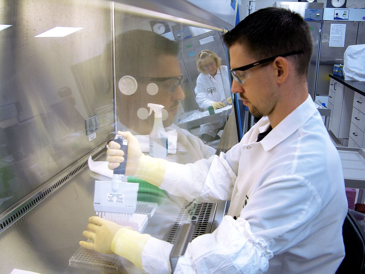cell-based-assay-2
