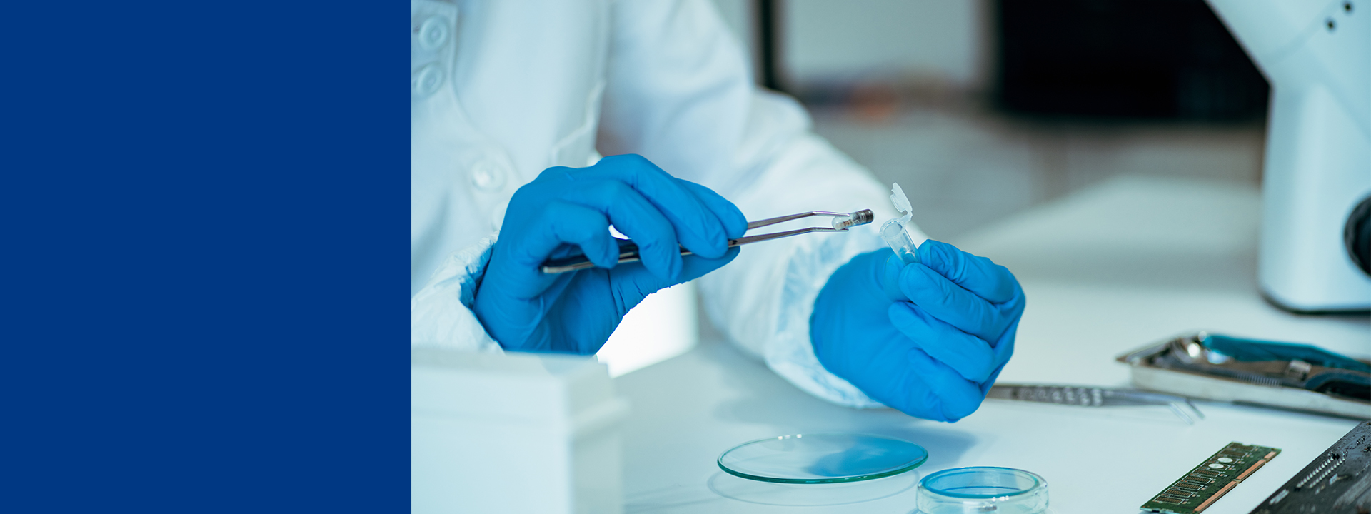 implantation-banner