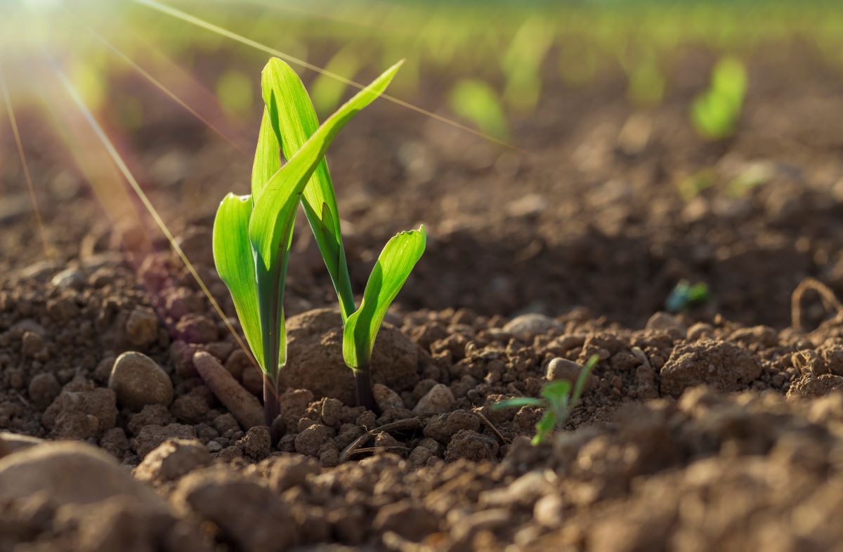 det-spirer-eurofins-agro