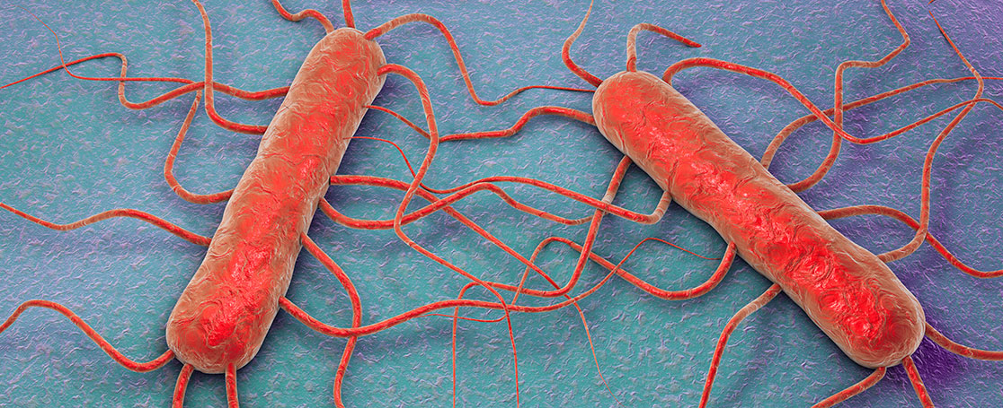 listeria_1116x455px