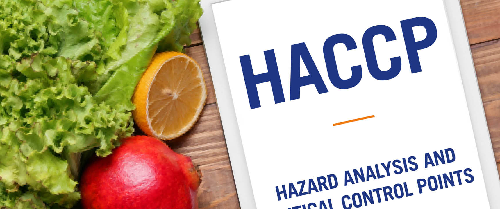 haccp-kurs