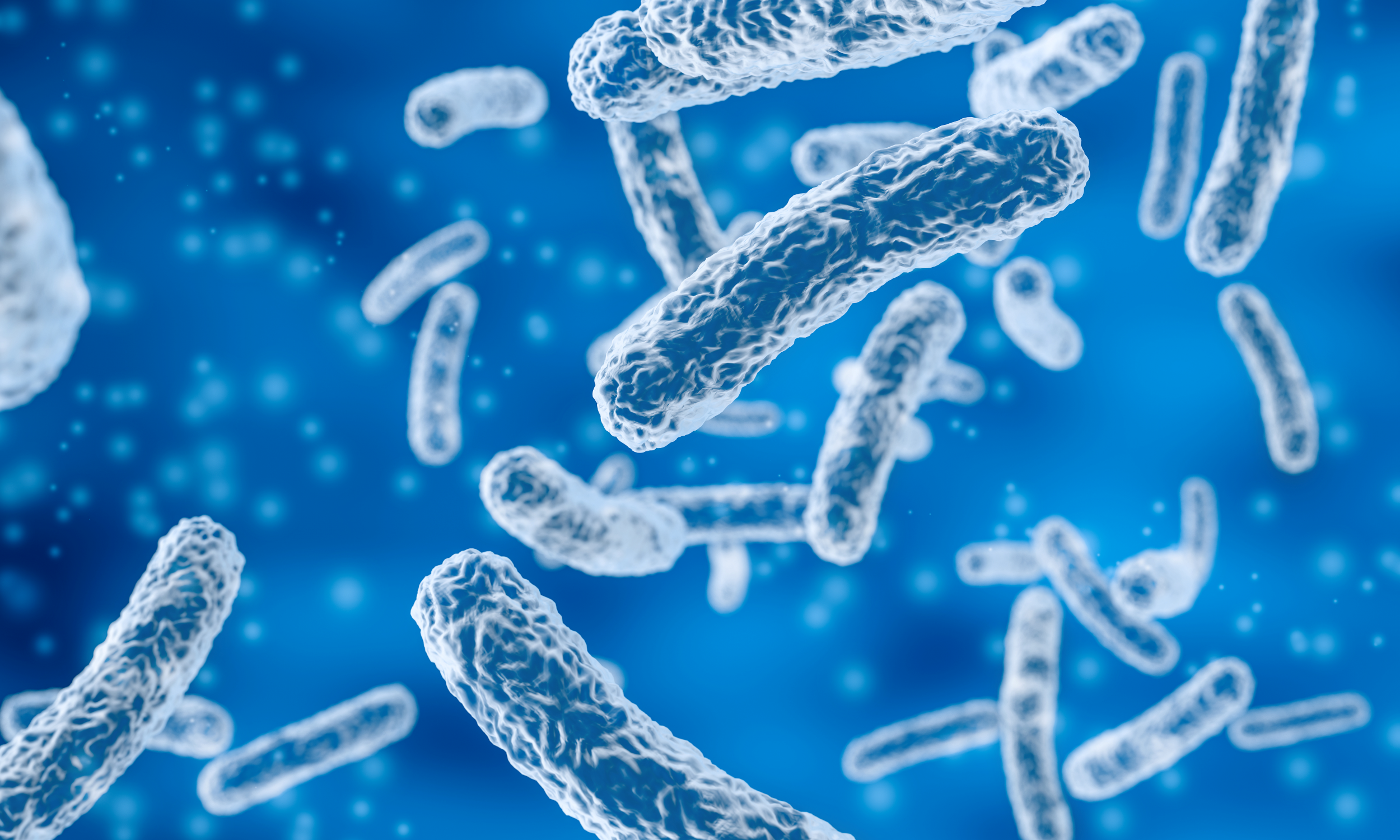 microscopic-view-of-bacteria-cells-on-blue-backgro-2026-01-05-00-40-00-utc