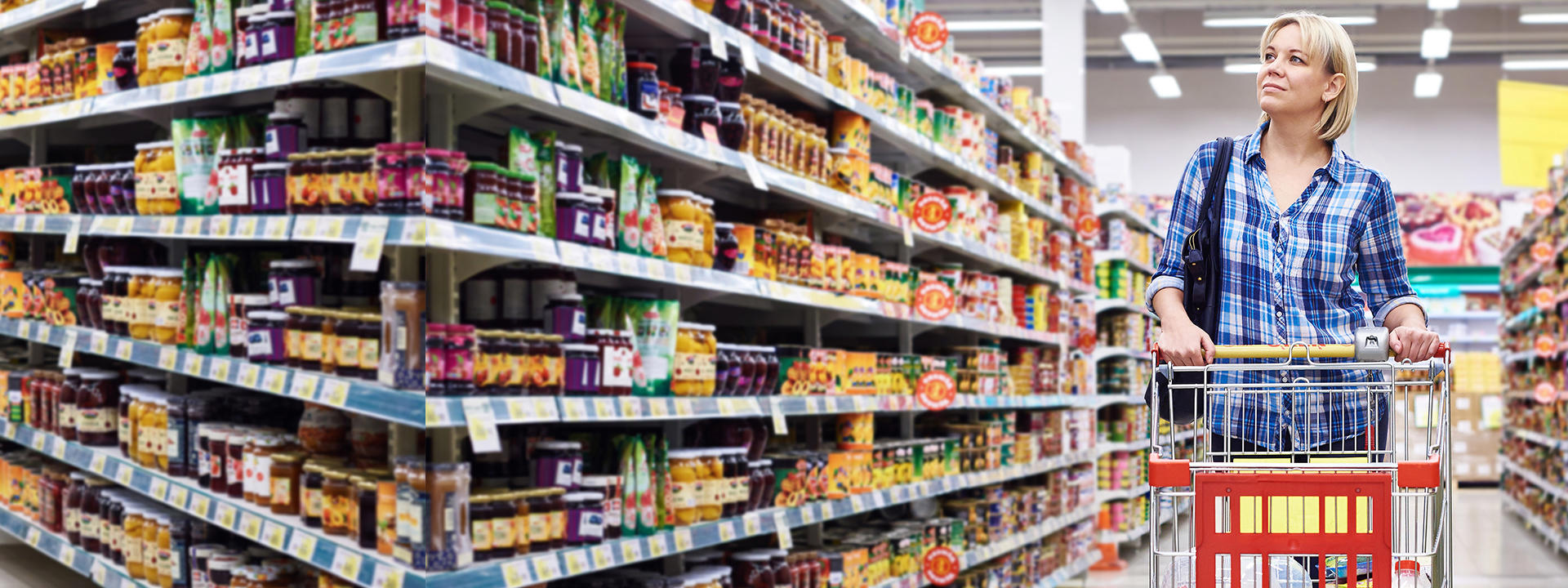 shelf-life_banner_1920x720px