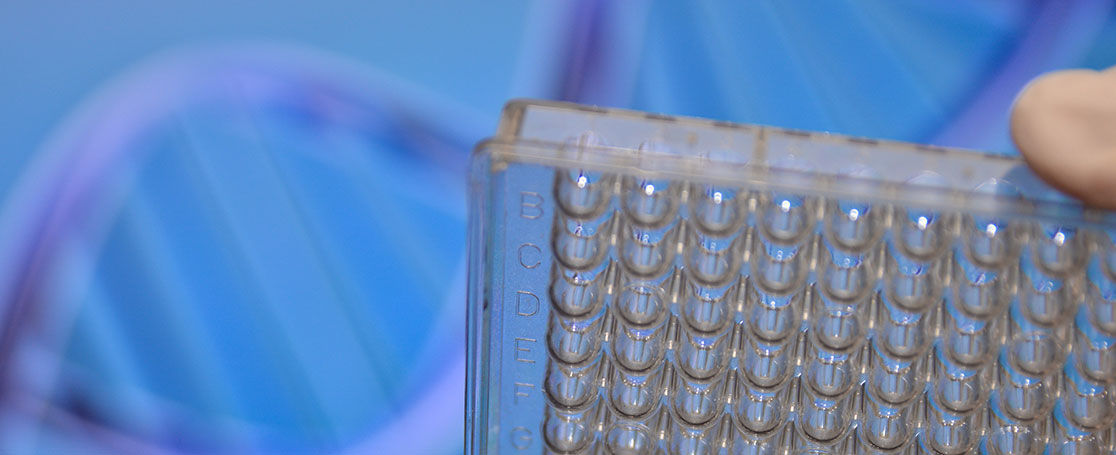 dna-testing_1116x455px