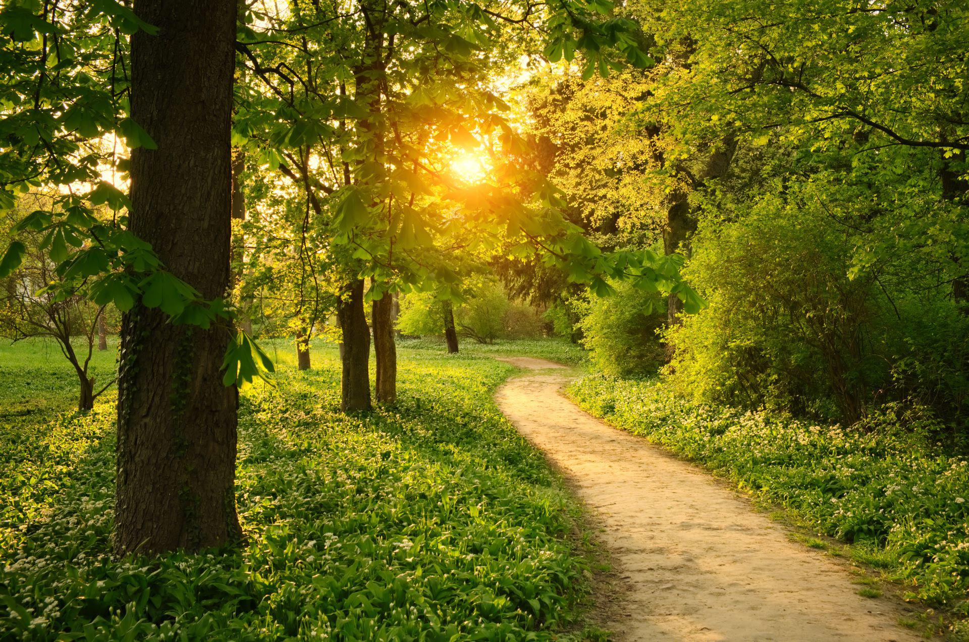 path-on-the-park_7407-x-4911-px_2