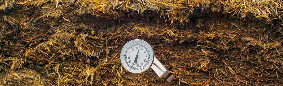 temperatur-i-grovfôr-980x300