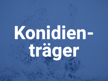 konidientraeger