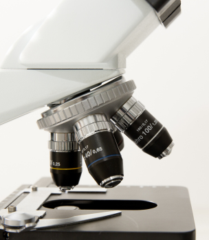 small-grid-template-1