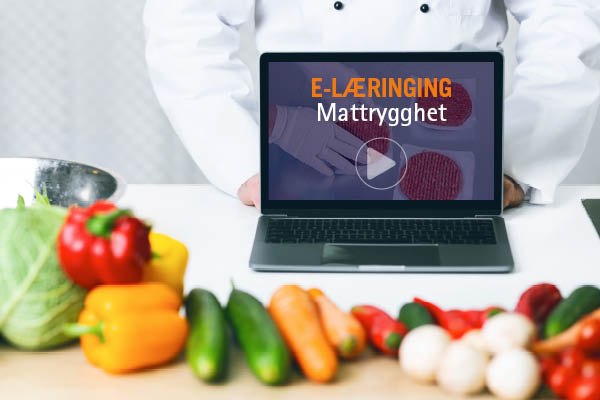 e-laering-mac3