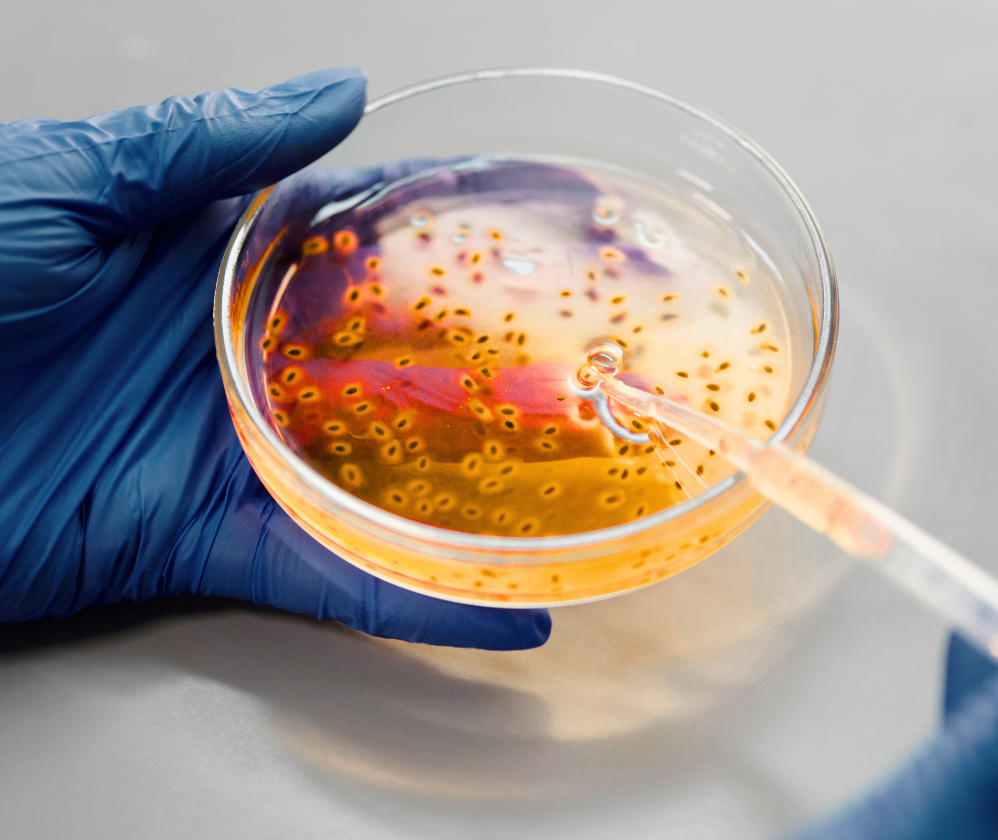 service-overview-microbio