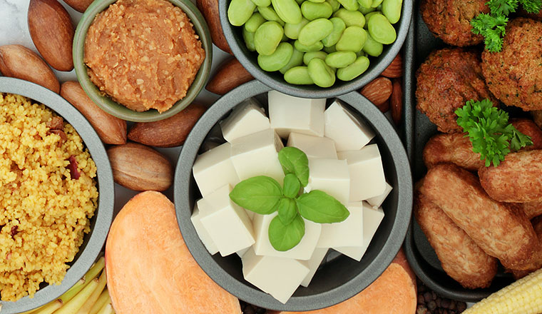 vegan-vegetarian_760x440px
