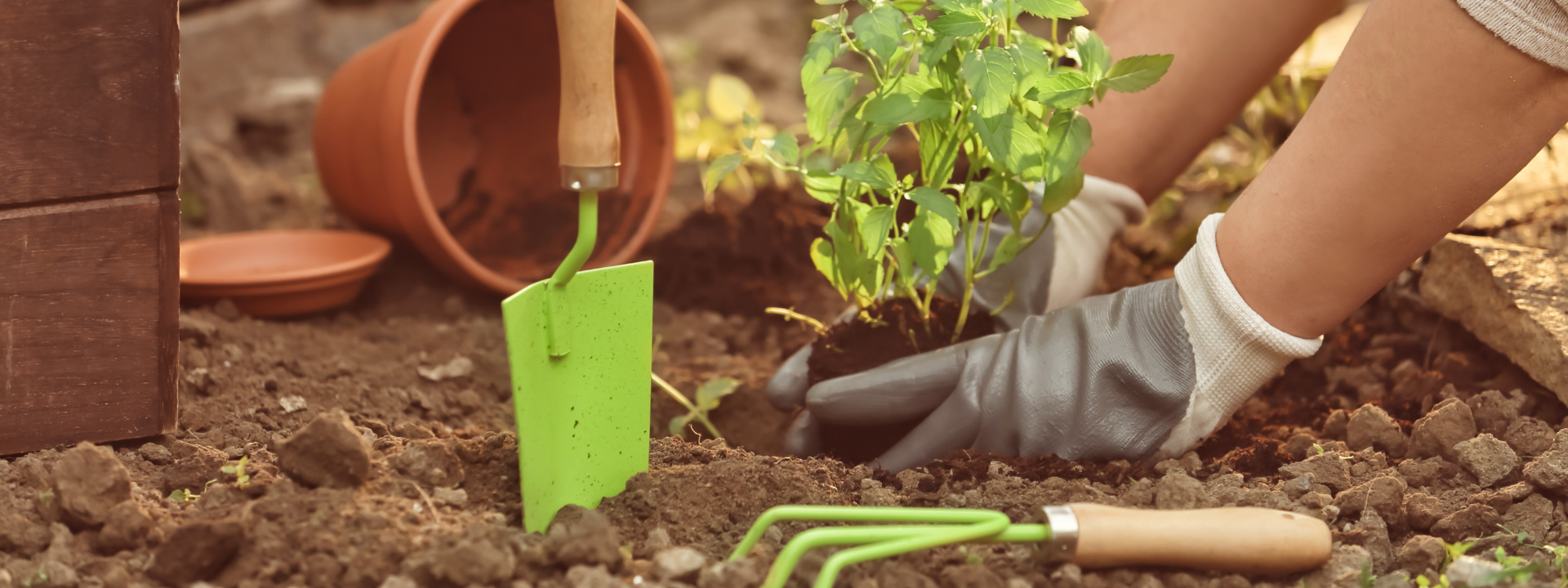 gardening_gloves_testing-1