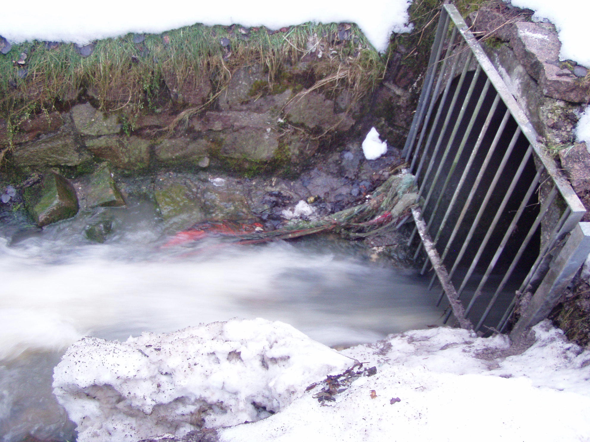 mr_100224_rueb-siebenlehn-auslaufbw