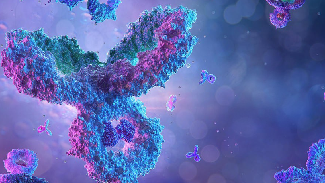 eurofins-central-laboratory-ibl-banner-v2