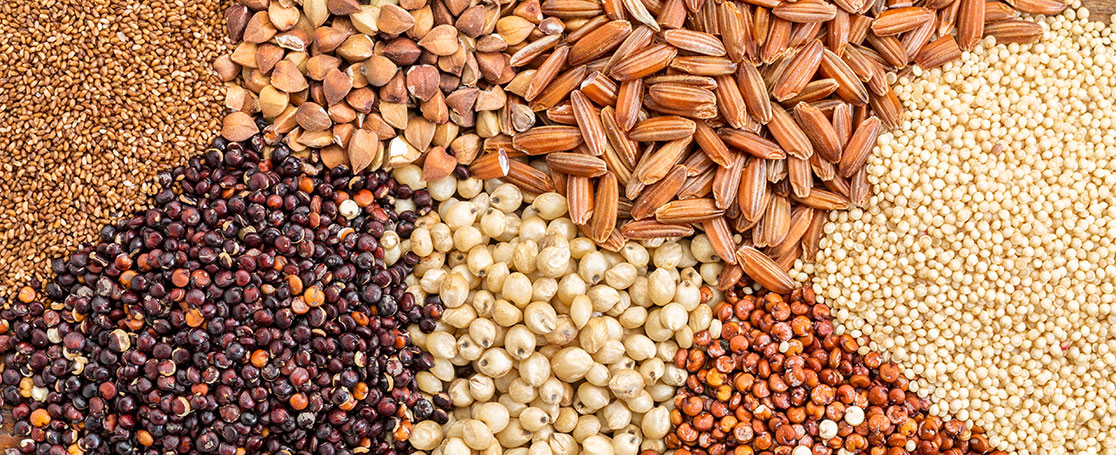 grains_newsbanner_1116x455px