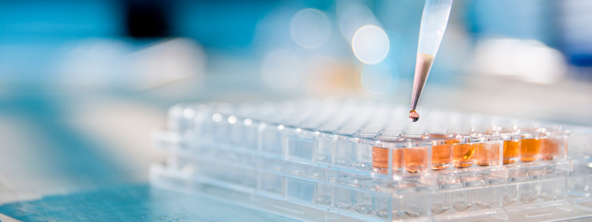 banner-website-in-vitro