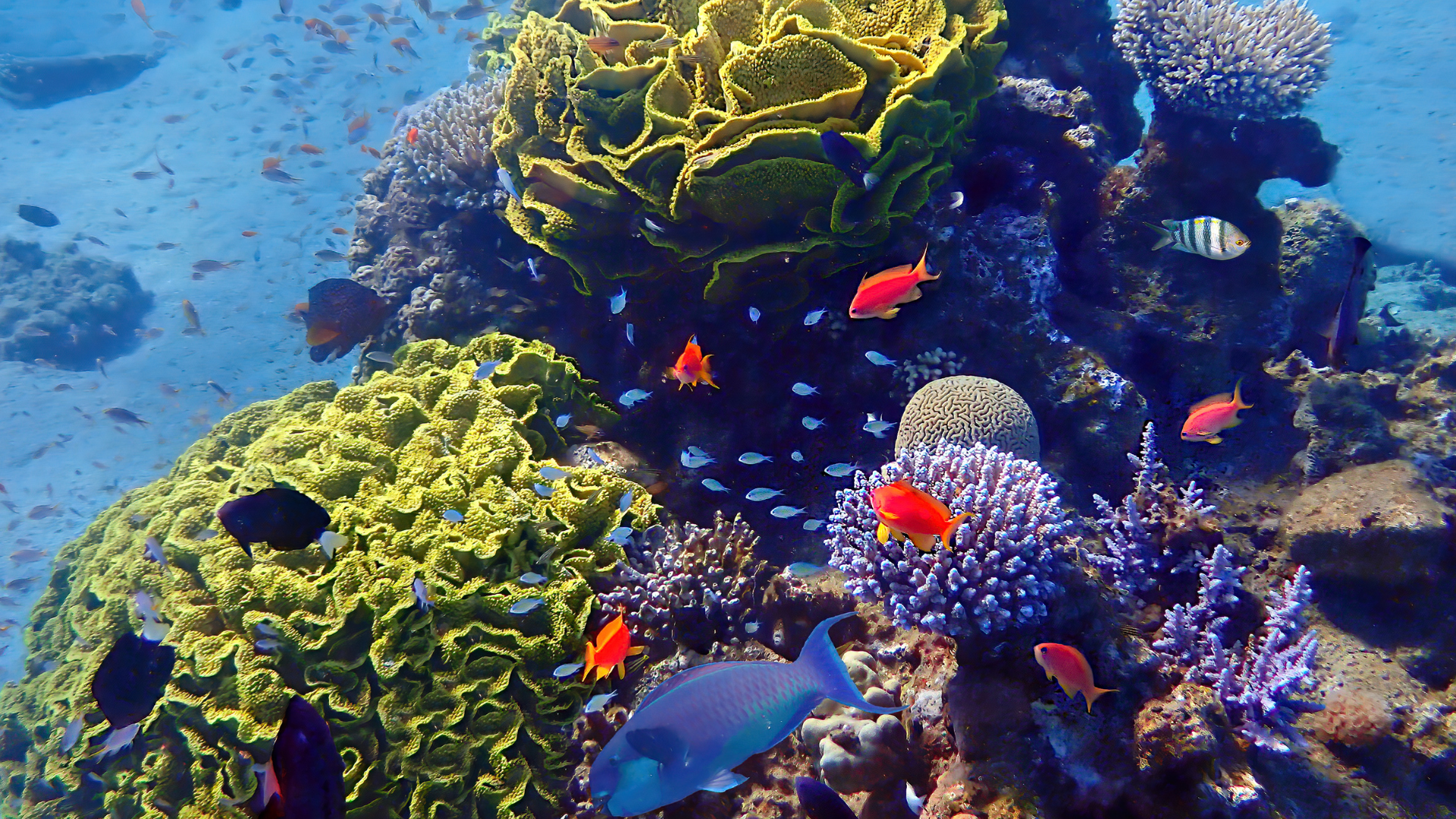 image-menu-ecotox-biodegra