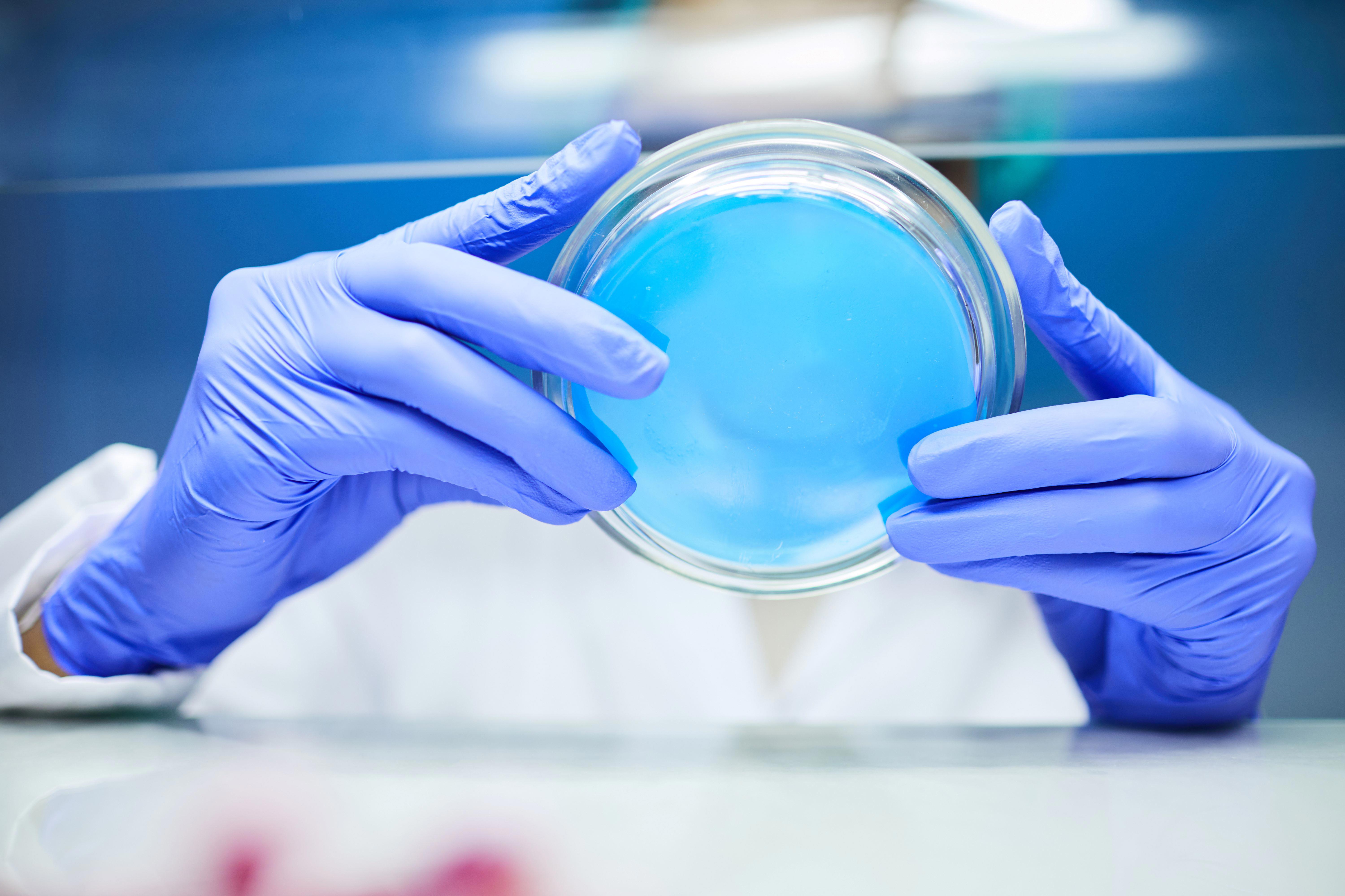 close-up-of-unrecognizable-scientist-holding-petri-dish-while-working-on-bio-research-in-laboratory_10080-x-6720px