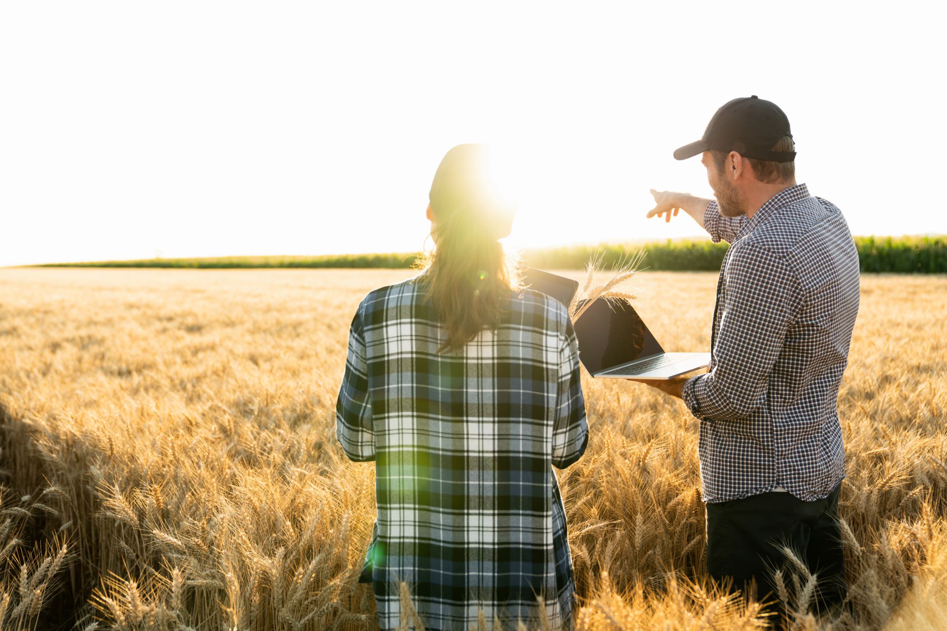 armers-examines-the-field-of-cereals-and-record-data-on-laptop_11928-x-7956_px_2
