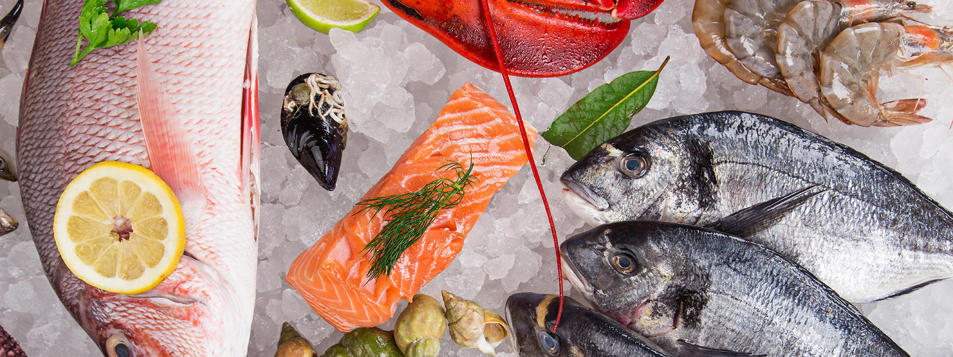fresh-tasty-seafood-served-on-crushed-ice_1920x720