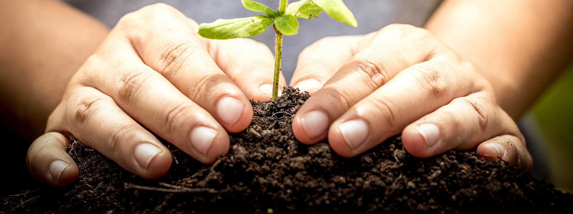 compost-banner