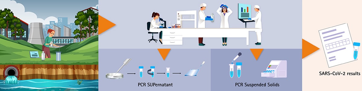 Spildevandets rejse