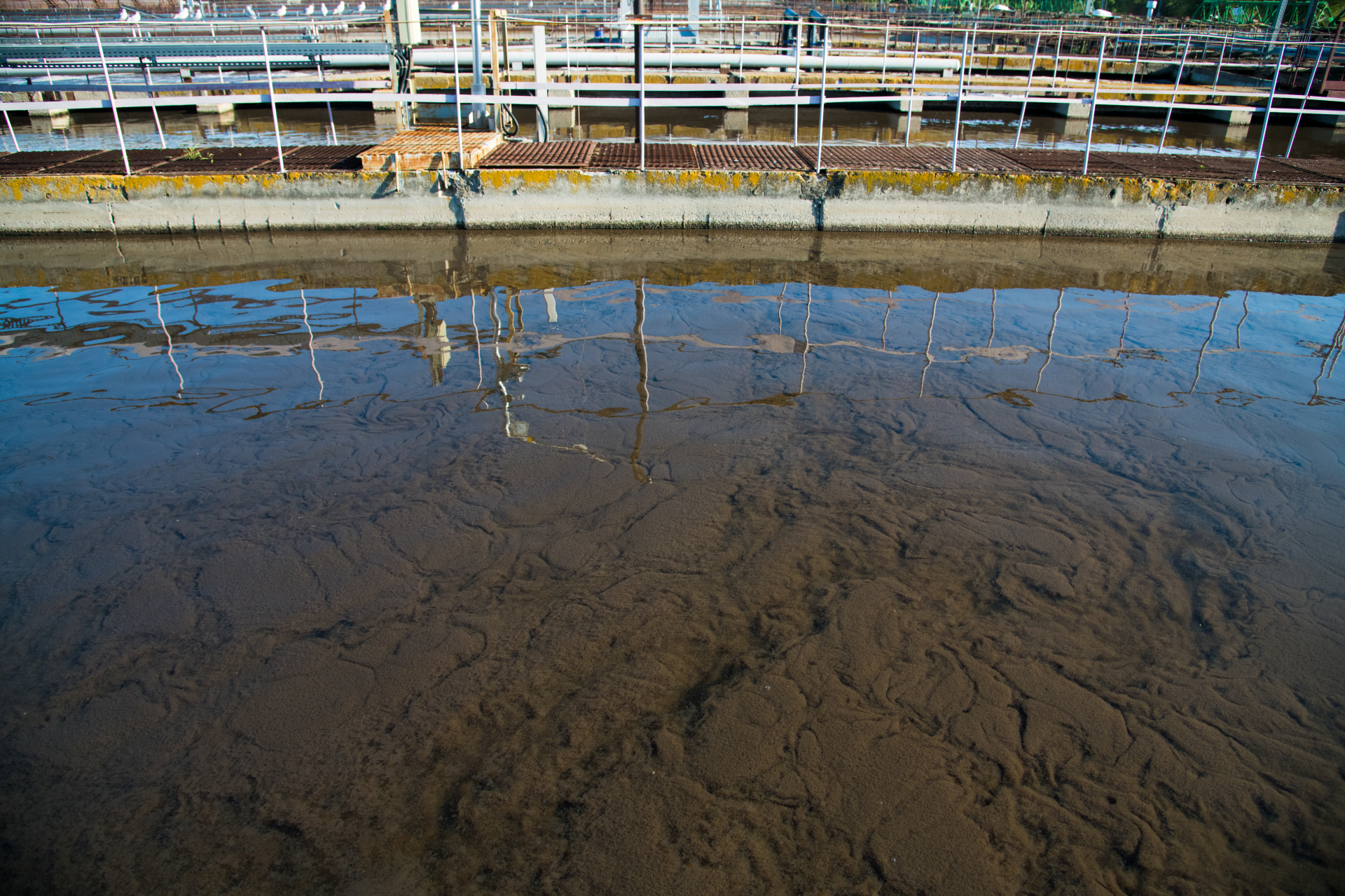 aeration-pool-of-the-municipal-wastewater-treatmen-2026-01-11-09-29-22-utc
