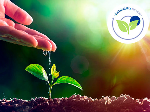 600-450-sustainability-services